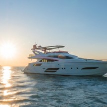 Dominator 800