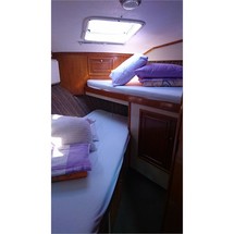 Atlantic 37