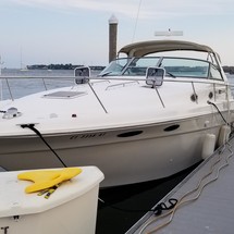 Sea Ray 330 Sundancer