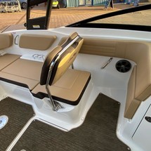 Sea Ray SPX 210