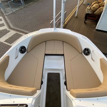 Sea Ray SPX 210