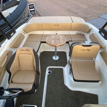 Sea Ray SPX 210