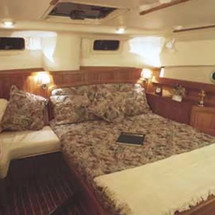 Sea Ray hunter viper 450