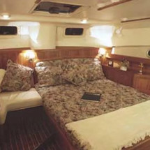 Sea Ray hunter viper 450