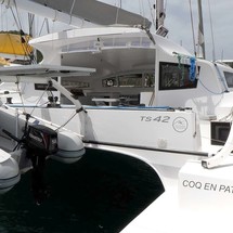 TS 42