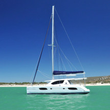 Leopard 44