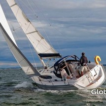 Delphia 33