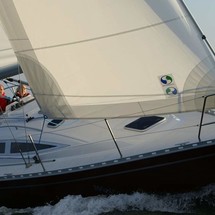 Delphia 33