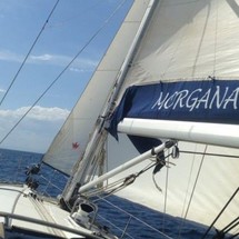 Bavaria 44