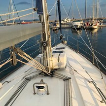 Bavaria 44