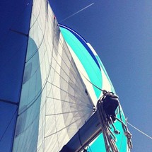 Bavaria 44