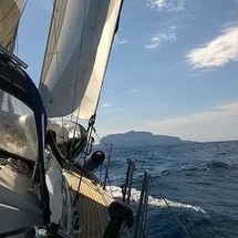 Bavaria 44
