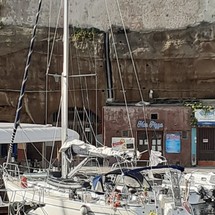 Bavaria 44