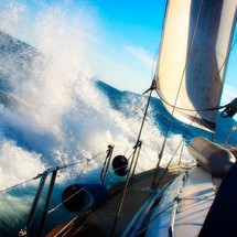 Bavaria 44