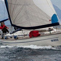 Bavaria 44