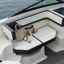 Sea ray 19 spx