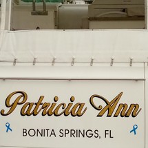 Sea ray 390 express cruiser