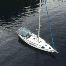 Bavaria 44