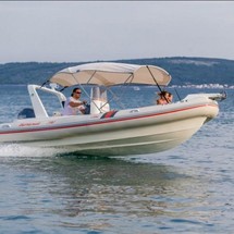Barracuda 590