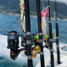 328 Sea Fox Commander
