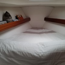 Bavaria 40