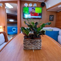 Bavaria 39 Cruiser