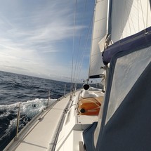Atlantic 49