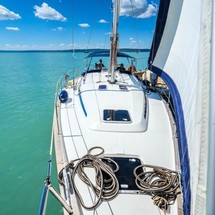Bavaria 44