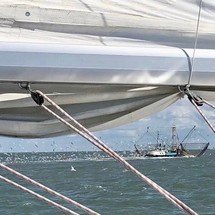 Bavaria 38
