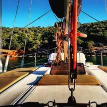 Atlantic 49