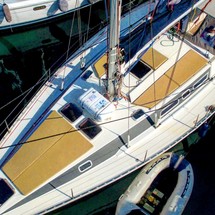 Atlantic 49