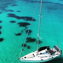 Atlantic 49