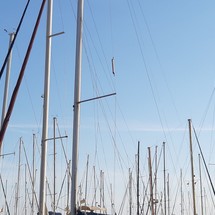Harmony 38