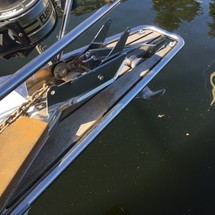 Bavaria 44