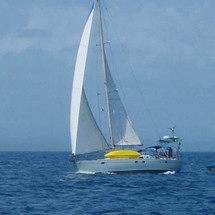 Alliaura Marine Feeling 446