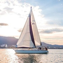 Bavaria 49