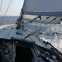 Bavaria 49