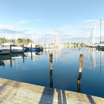 Bavaria 44