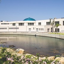 Lagoon 620