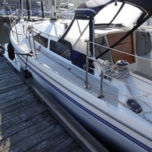 Catalina 36