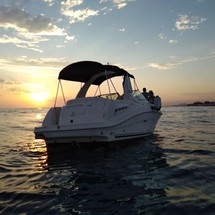 Sea Ray 315 Sundancer