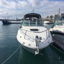 Sea Ray 315 Sundancer