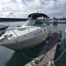 Sea Ray 315 Sundancer