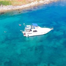 President president 46 flybridge
