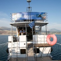 President president 46 flybridge