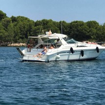 Sea ray 400