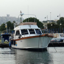 Sciallino 40 fly