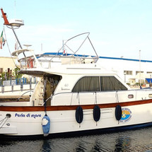 Sciallino 40 fly