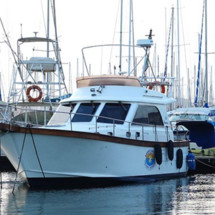 Sciallino 40 fly