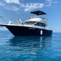 Bayliner 288 CB